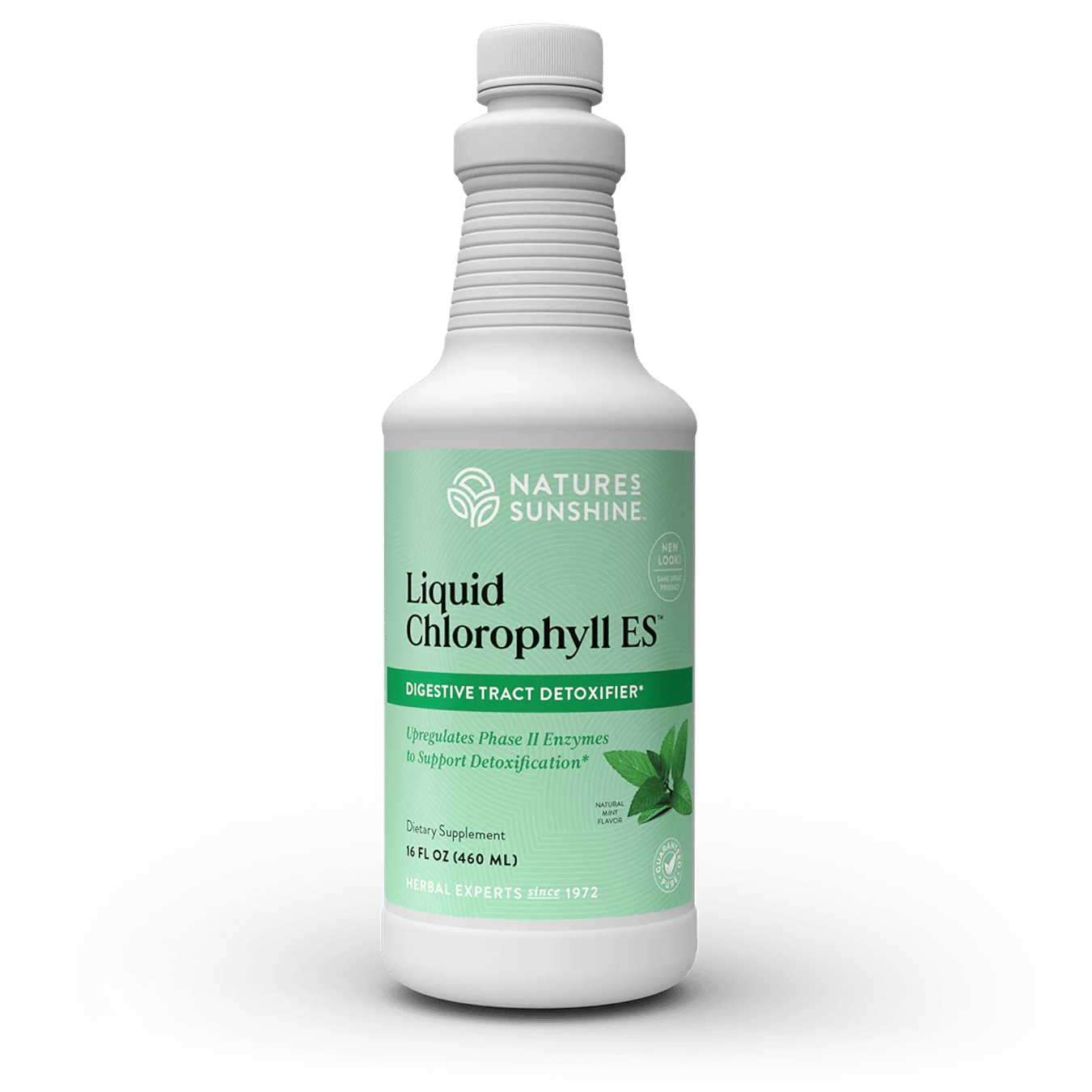 NATURES SUNSHINE LIQUID CHLOROPHYLL 16 FL OZ