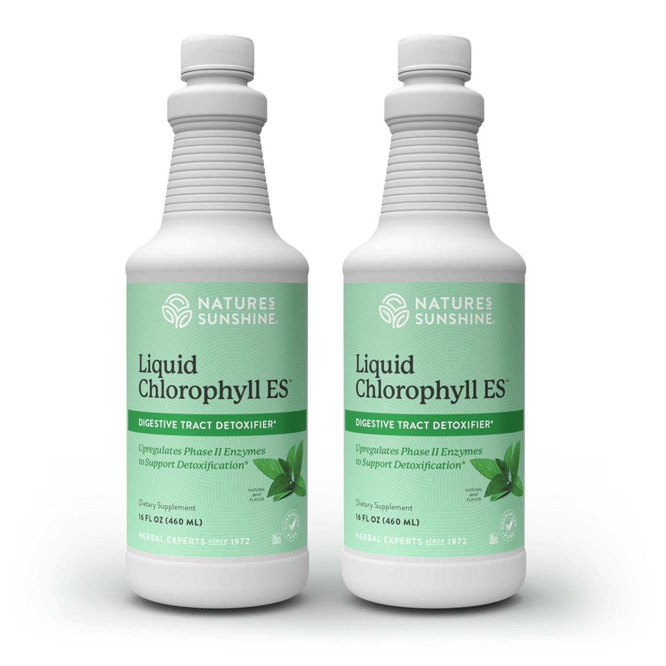 NATURES SUNSHINE LIQUID CHLOROPHYLL 32 FL OZ