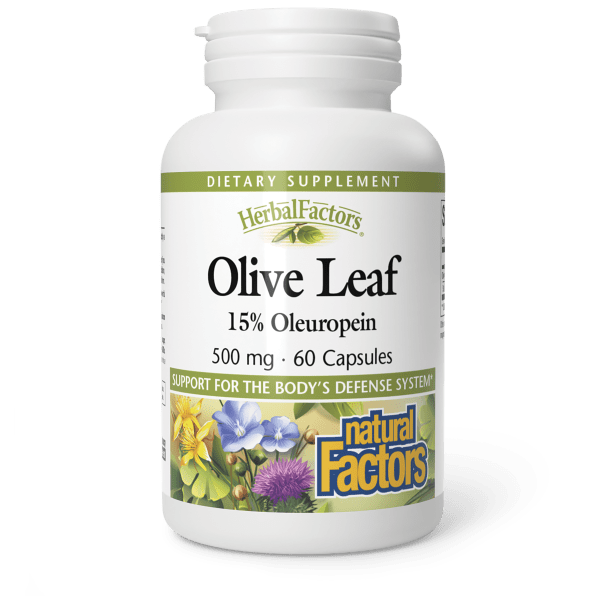 NAURAL FACTORS OLIVE LEAF 500 MG 60 CAP