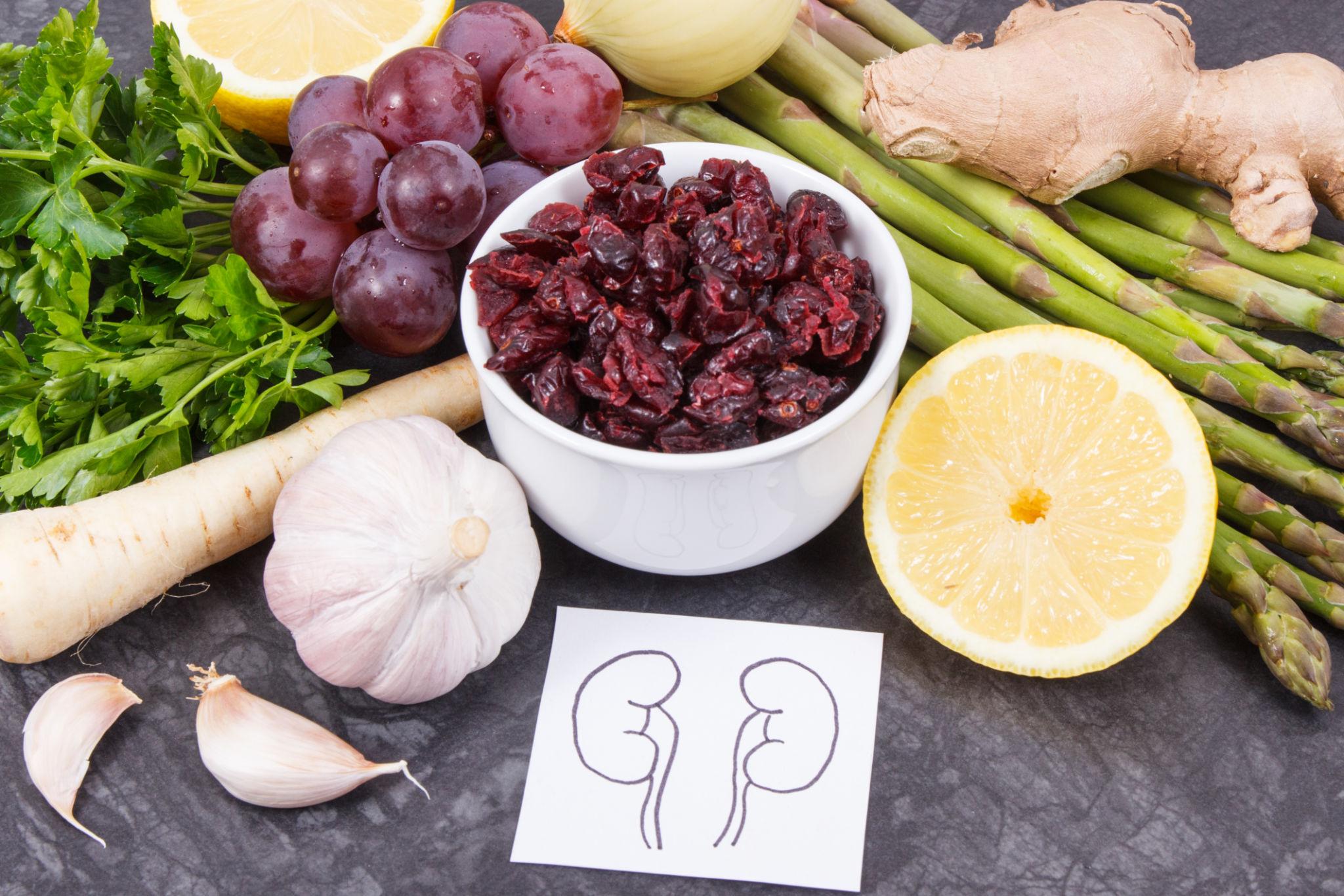 Kidney Health Matters: Understanding Function, Testing, Nutrition, and Support for Long-Term Wellness