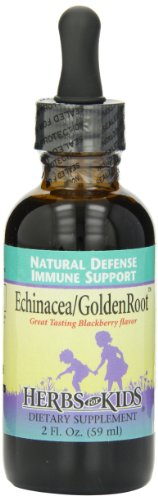 Herbs For Kids Echinacea/Goldenroot Blackberry