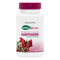 NaturesPlus Herbal Actives Hawthorn Extended Release Tablets