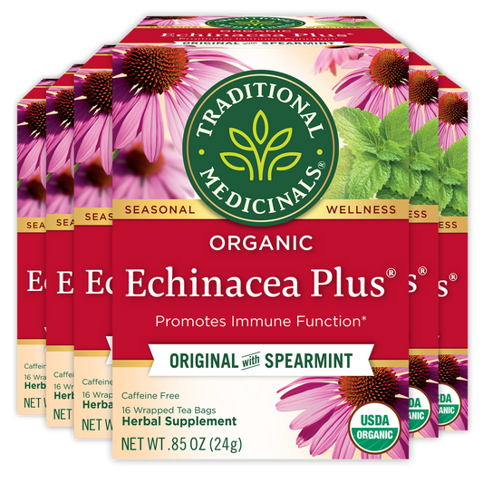TRADITIONAL MEDICINALS TEA ECHINACEA+ ORGANIC