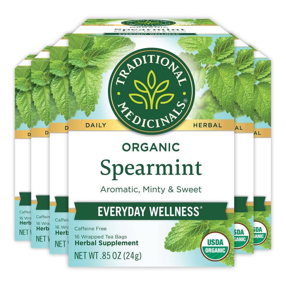 TRADITIONAL MEDICINALS TEA SPEARMINT ORGANIC