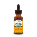 HerbPharm Kids Mullein Garlic Oil