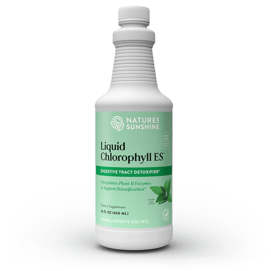 NATURES SUNSHINE LIQUID CHLOROPHYLL 16 FL OZ