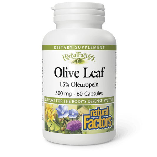NAURAL FACTORS OLIVE LEAF 500 MG 60 CAP